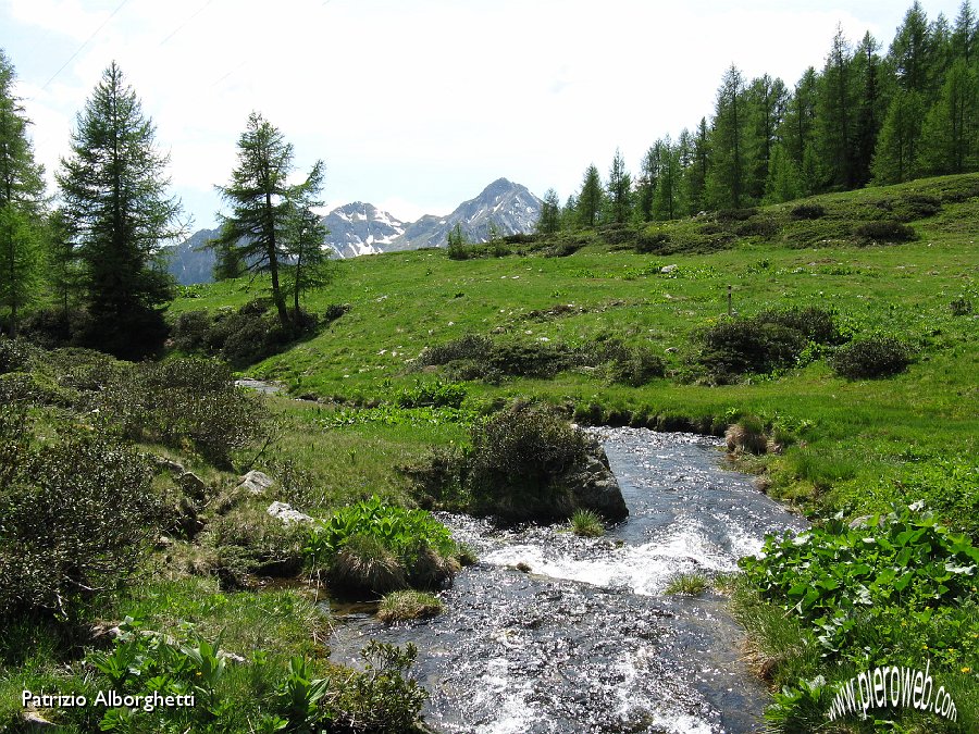 19 Paesaggio nei pressi della Baita Cornellini (Foppolo).JPG - 19 Paesaggio nei pressi della Baita Cornellini (Foppolo)